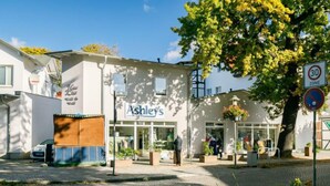 Ein Gebäude mit einer Schaufensterfront, auf der „Ashley’s“ steht.