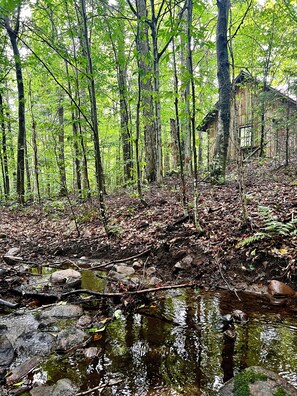 A forested area with a small stream and a wooden structure.