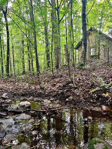 Peaceful Family Retreat – Spacious 4BR Home - 5 acres of forest