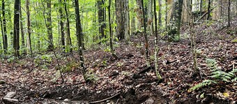 Peaceful Family Retreat – Spacious 4BR Home - 5 acres of forest