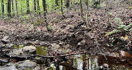 Peaceful Family Retreat – Spacious 4BR Home - 5 acres of forest