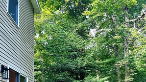 A wooden deck with a staircase leading to a house. - Peaceful Family Retreat – Spacious 4BR Home - 5 acres of forest (Inlet)