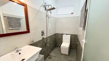 Hair dryer, towels, soap, shampoo
