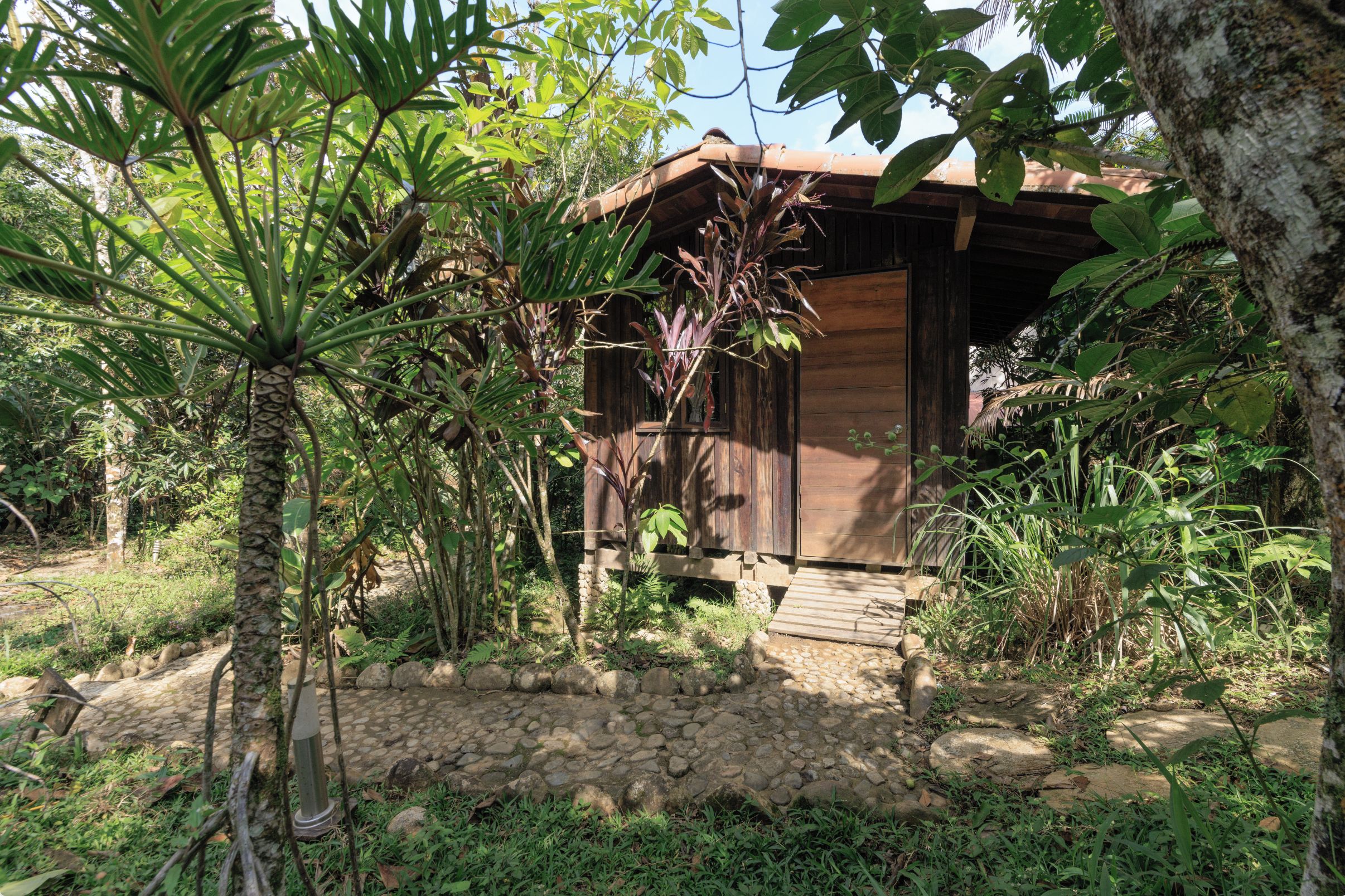A rustic wooden cabin with a stone foundation, surrounded by lush tropical vegetation.