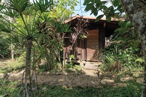 A rustic wooden cabin with a stone foundation, surrounded by lush tropical vegetation.