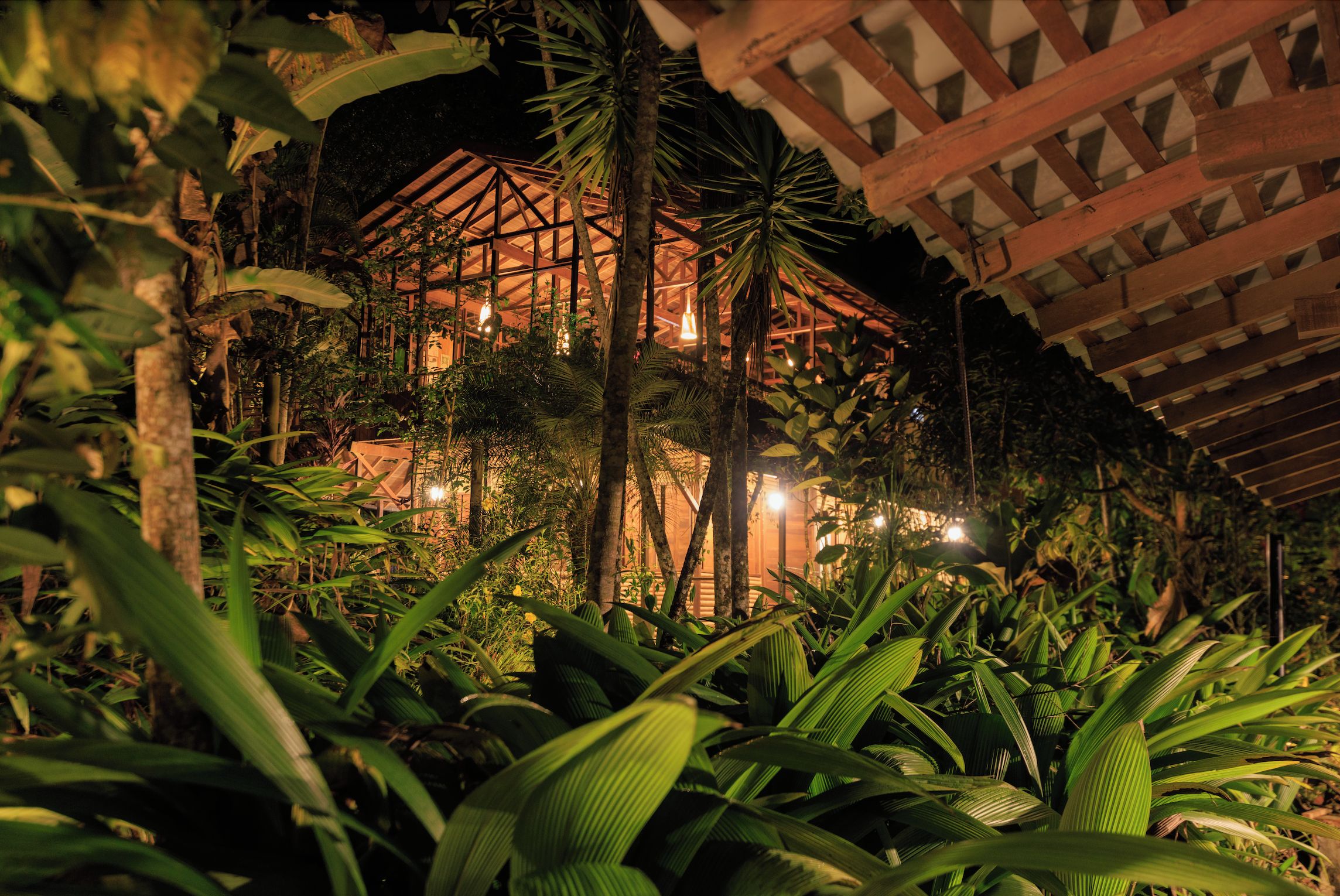 A multi-level wooden structure surrounded by dense tropical foliage at night.
