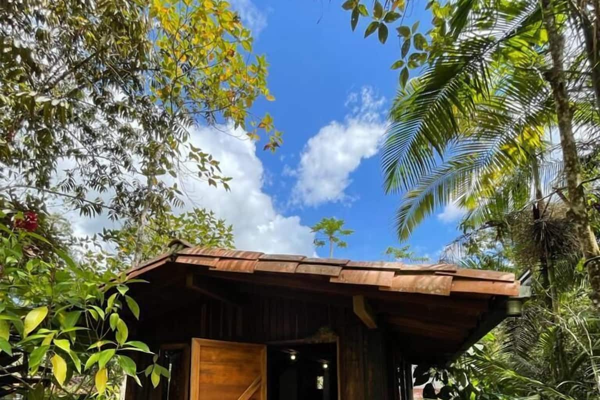 A wooden cabin with a single door and a small porch, surrounded by dense tropical foliage.