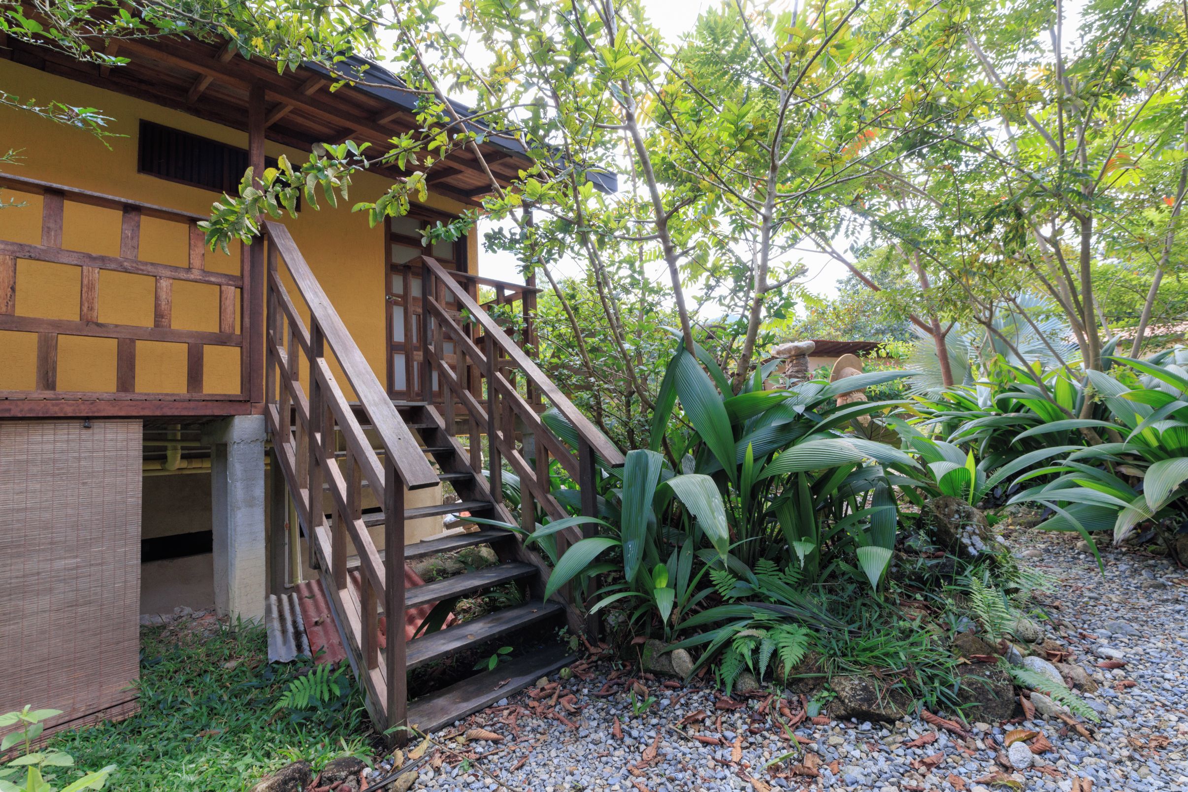A wooden staircase leading to a yellow building with a covered porch, surrounded by lush greenery and tropical plants.