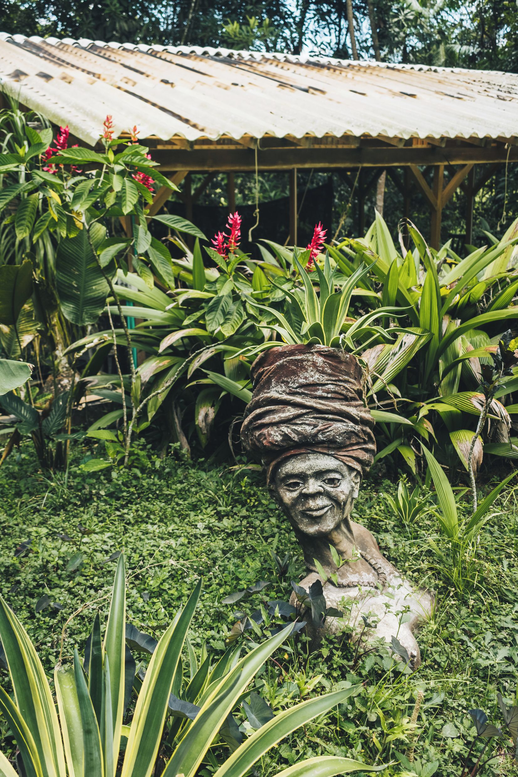Ein Garten mit einer Skulptur eines Kopfes mit Turban, umgeben von üppigem Grün und einer Holzkonstruktion im Hintergrund.