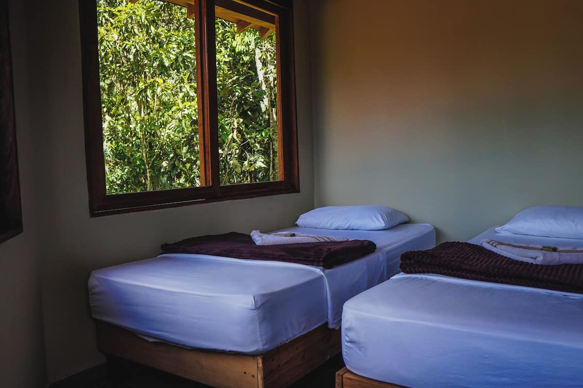 A room with two single beds, each with white bedding and a dark blanket. There is a window with a view of green foliage.