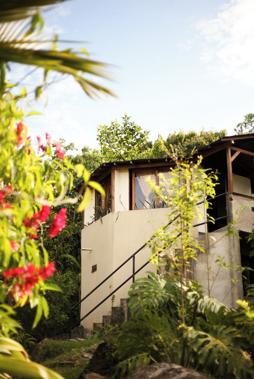 A building with a staircase leading to a covered area, surrounded by lush greenery and flowering plants.