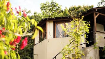 A building with a staircase leading to a covered area, surrounded by lush greenery and flowering plants.