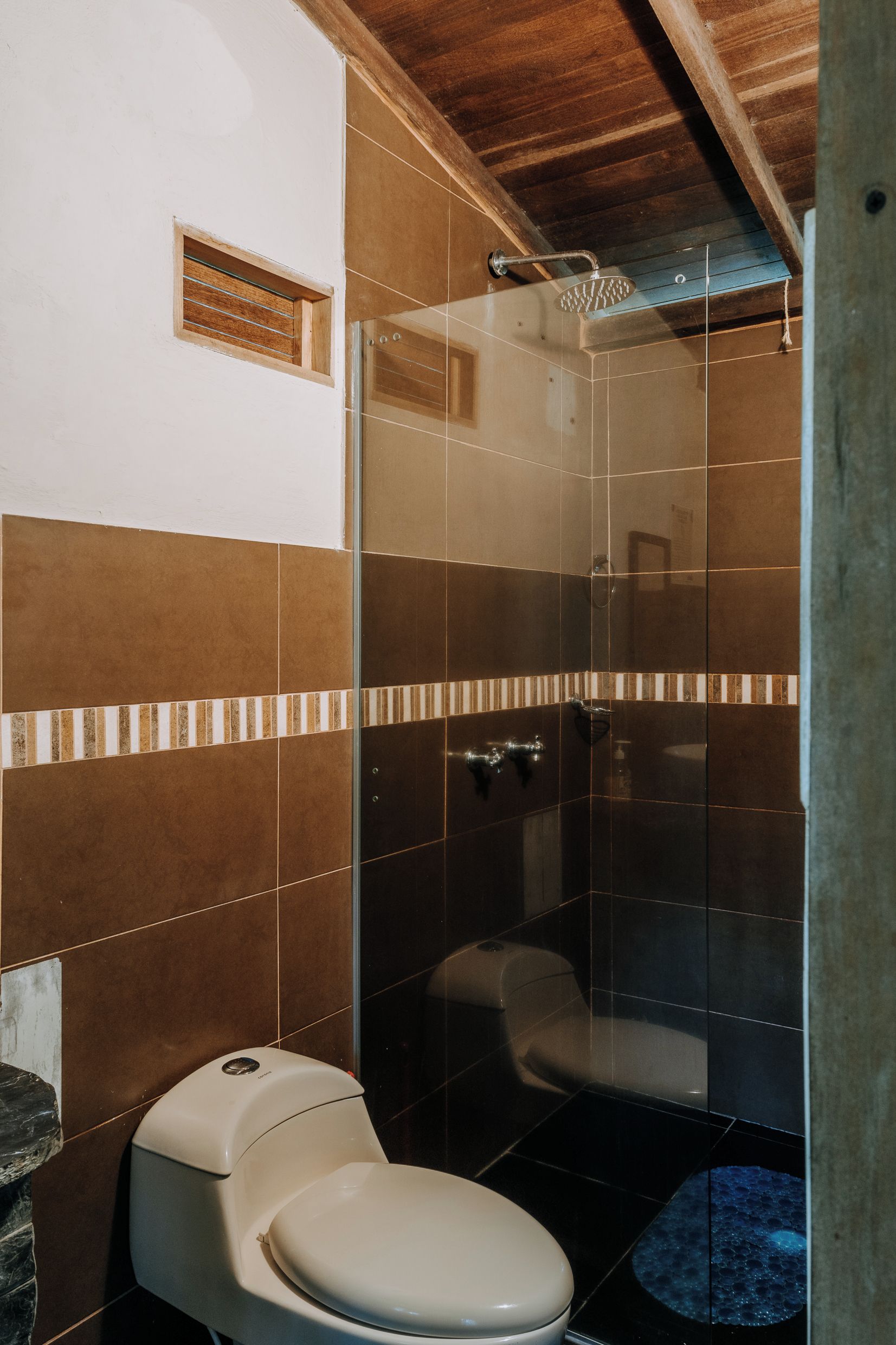 A bathroom with a toilet, a shower, and a glass-enclosed shower stall.