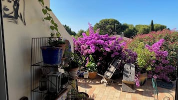 Terras