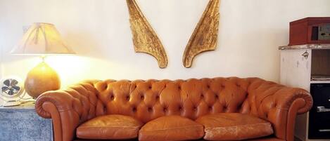 Chimenea, libros, biblioteca de música