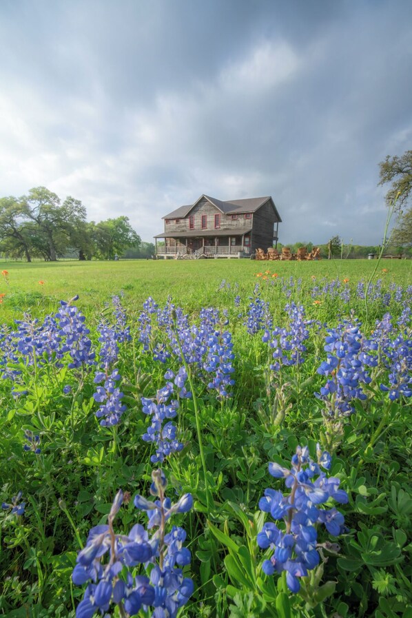 المنطقة المحيطة بالمنشأة