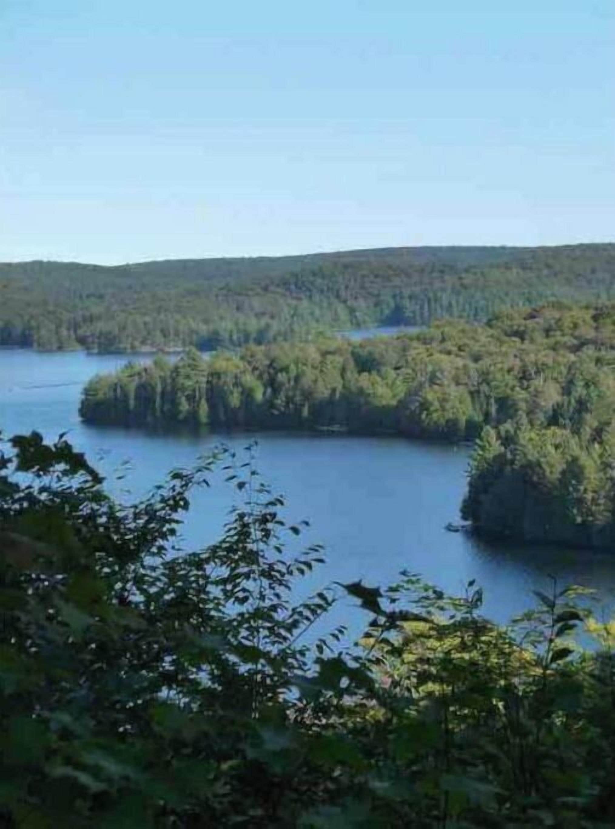 A lake surrounded by dense forest.