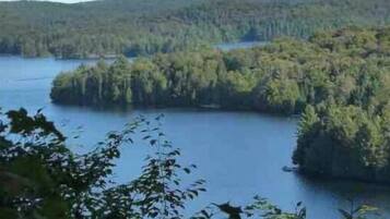 A lake surrounded by dense forest.
