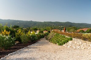 Área da propriedade