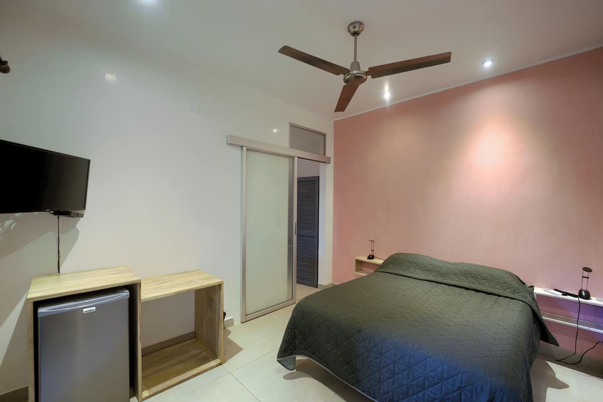 Un dormitorio con cama, ventilador de techo, televisor, escritorio pequeño y armario.