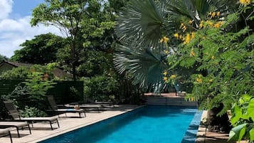 Outdoor pool, sun loungers