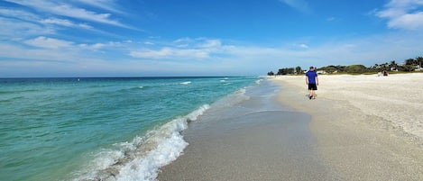 ビーチの近く、ビーチタオル