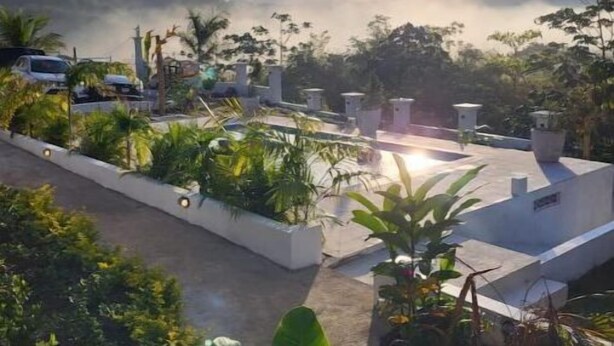 A rooftop garden with potted plants and a clear view of the surrounding landscape.