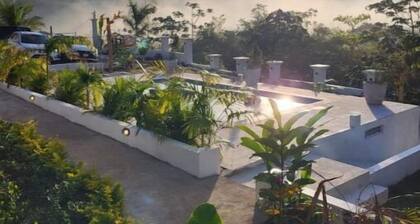 Green Plantain Cabin