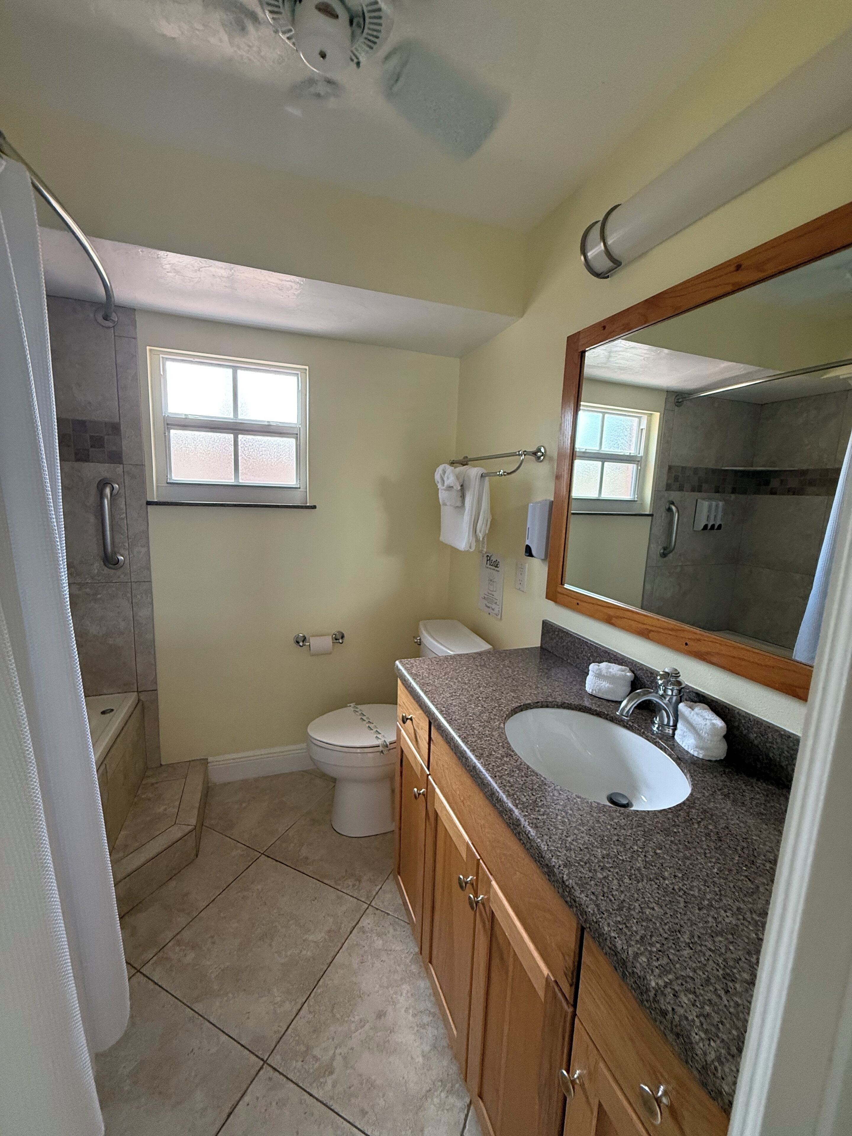 A bathroom with a shower, toilet, sink, and a large mirror.