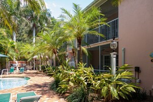 Zona de piscina con sillas de descanso, palmeras y un edificio con balcones.