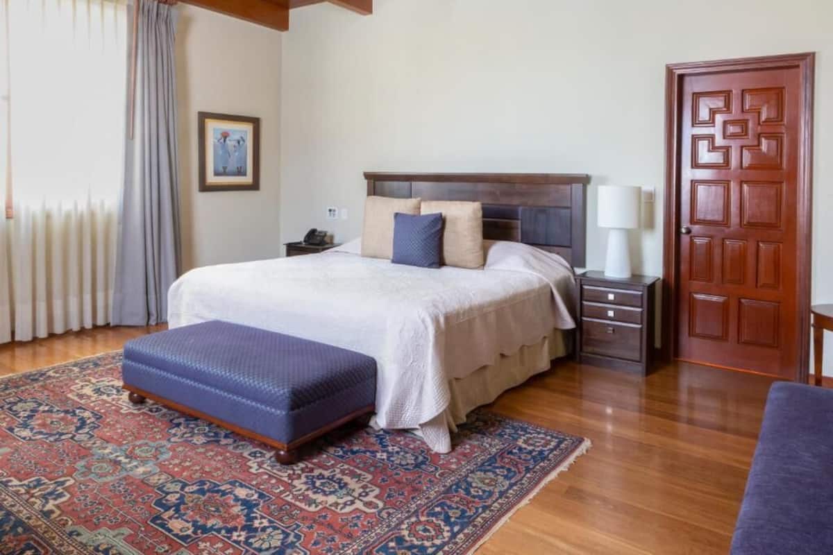 A bedroom with a large bed, a nightstand, a wooden door, and a patterned rug.