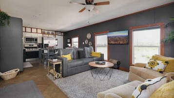 Télévision, cheminée, espaces bureaux