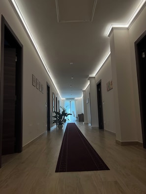 A modern hallway with a wooden floor, a red carpet, and a potted plant. - B&b I Greci (Vairano Patenora)