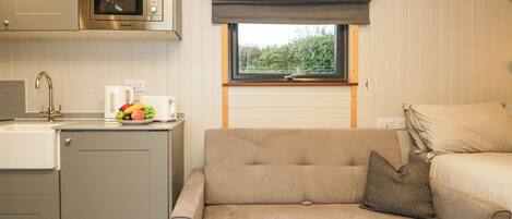 A compact kitchenette with a microwave, sink, and fruit bowl. A sofa is positioned near a window with a view of greenery.