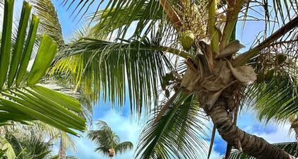 Azucar - Beach Houses Key West