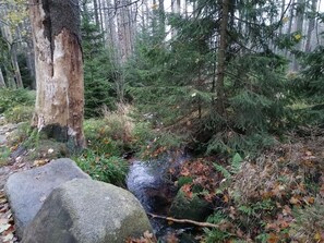 Miscellaneous - Peace and relaxation in Saxon Switzerland (Sebnitz)