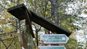 A directional signpost with multiple arrows pointing in different directions, surrounded by autumn leaves. - Peace and relaxation in Saxon Switzerland (Sebnitz)