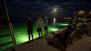 Una terraza de madera con una escalera, una piscina con agua verde y un área de descanso con sillas.