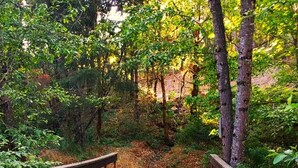 Eine Holzbrücke mit Geländern, die in einen bewaldeten Bereich führt.
