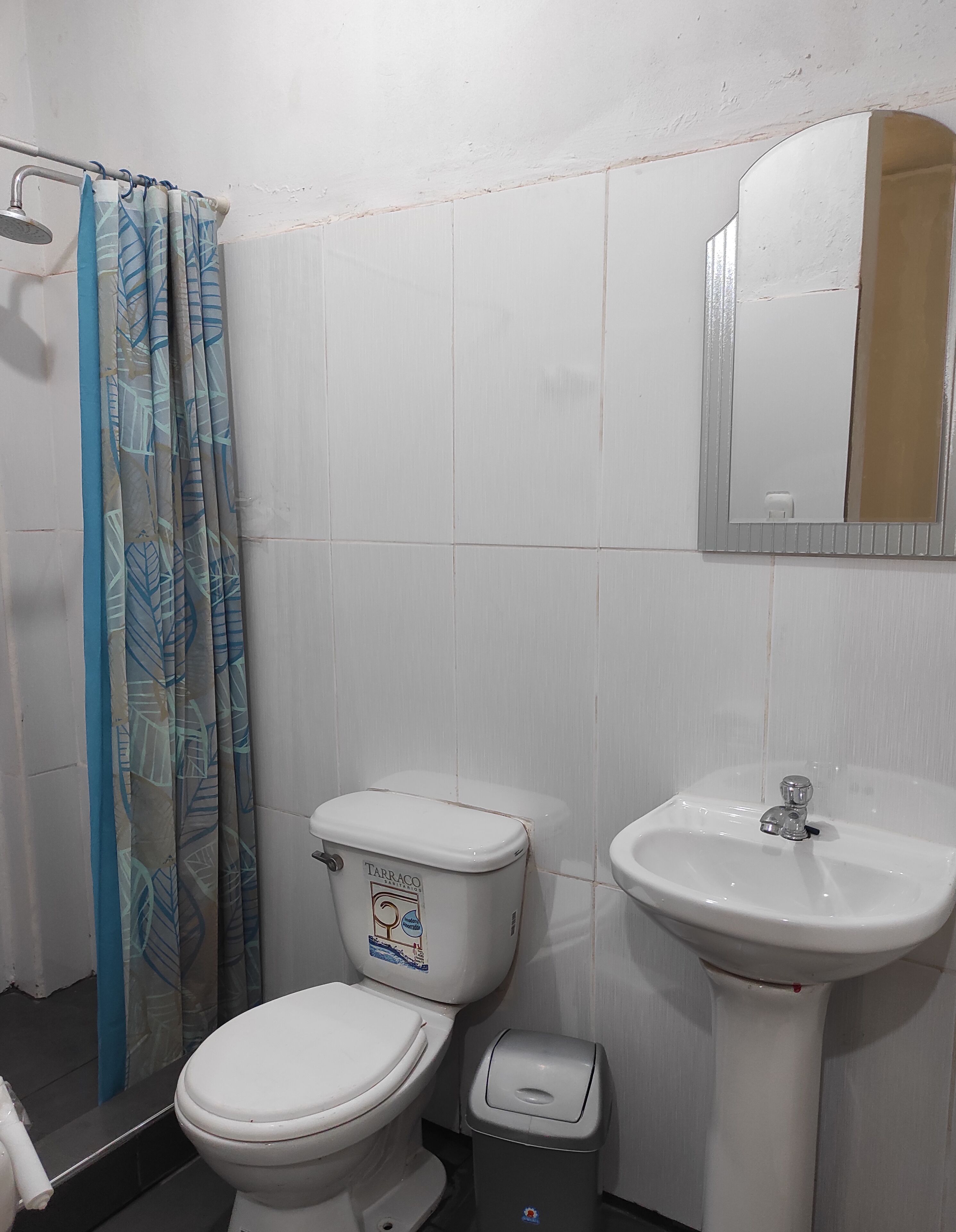 A bathroom with a toilet, a sink, a shower, and a curtain.