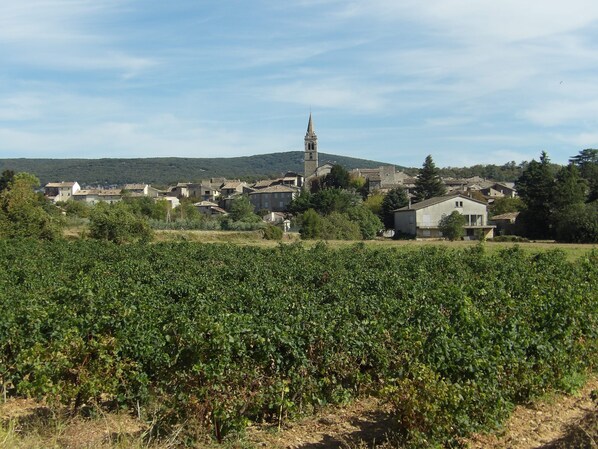 A vineyard with rows of grapevines in the foreground and a village with buildings and a church in the background. - Villa Avec Piscine (vallon pont d'arc)