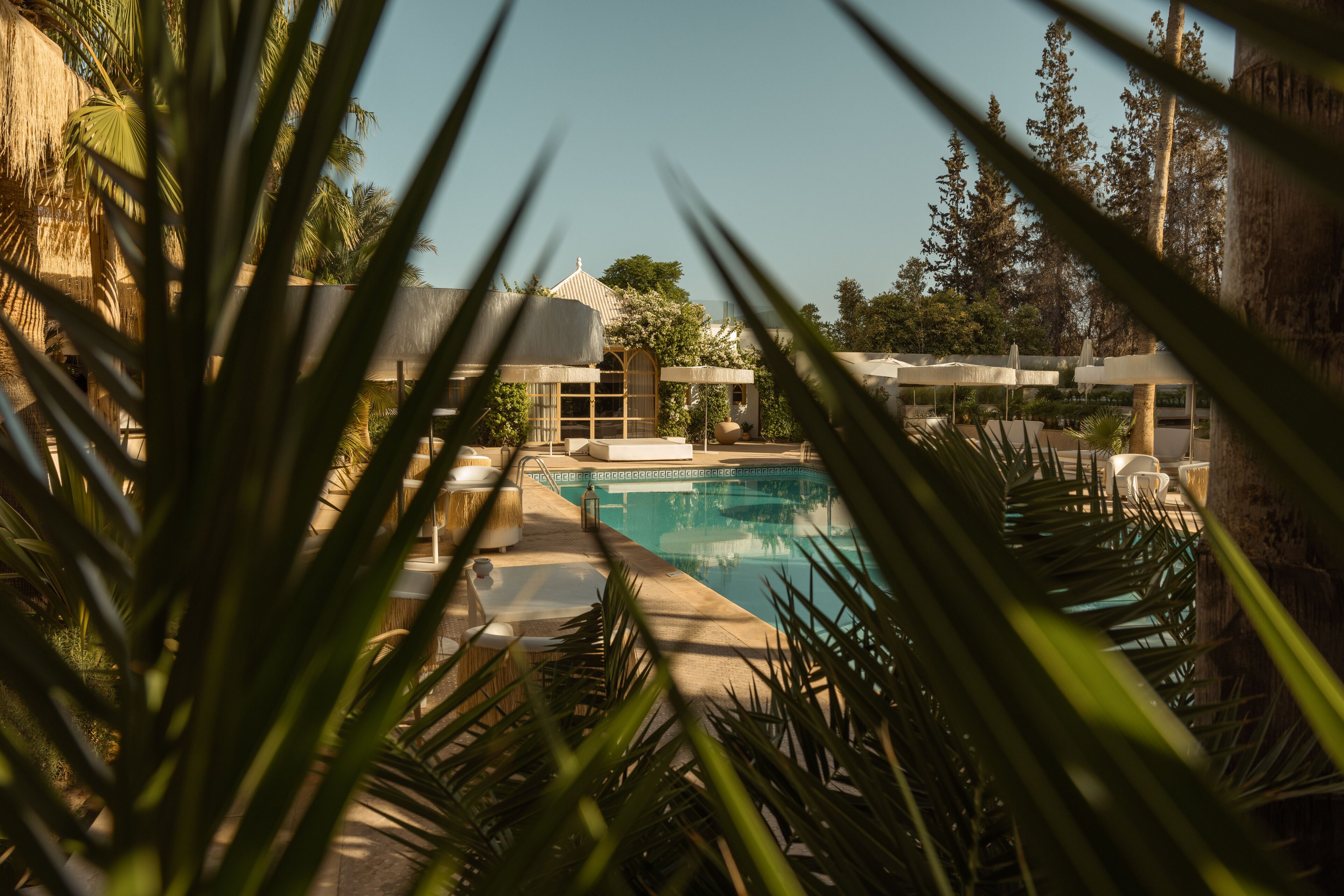 Foto - Les Palmiers Boutique Hôtel & Spa