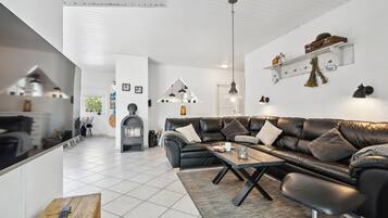 Télévision, cheminée, lecteur de DVD