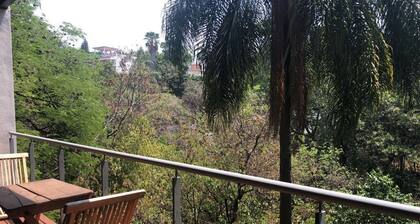La Ceiba - Beautiful flat in Cuernavaca’s City Center