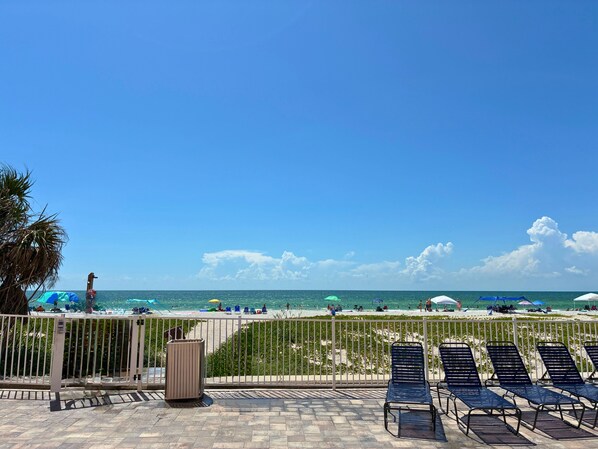 A beachside view with a clear sky, a palm tree, and a row of sun loungers.