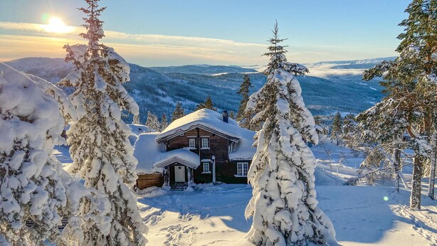 Una cabaña de madera rodeada de árboles nevados, con montañas al fondo.