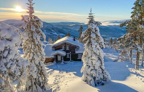 Pet friendly home in Nissedal with WiFi