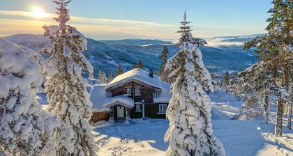 Pet friendly home in Nissedal with WiFi
