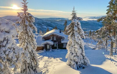 Pet friendly home in Nissedal with WiFi