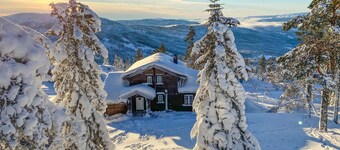 Pet friendly home in Nissedal with WiFi